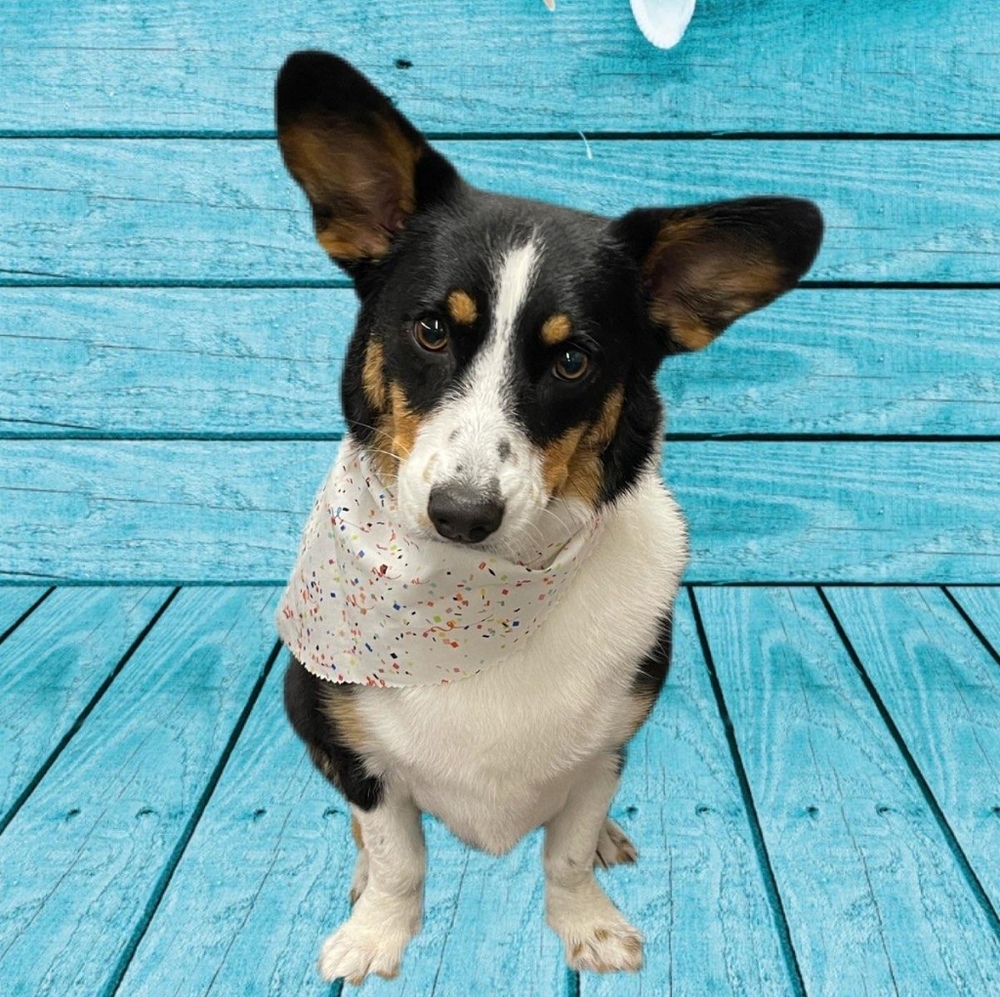 Karen⭐Ambassador⭐ - Picture 13 of 15